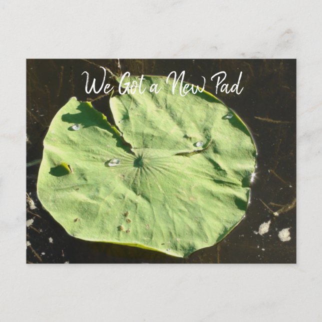 We Moved | New Home | New Address Postcard (Front)