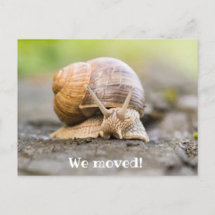 We moved postcard with snail