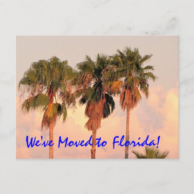 We Moved to Florida Post Card (Front)