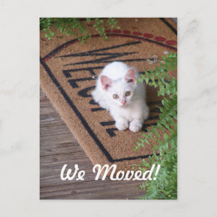We Moved White Kitten Announcement Postcard