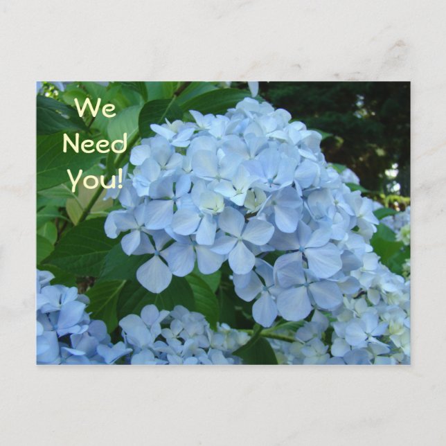 We Need You! postcards Get Involved Today! school (Front)
