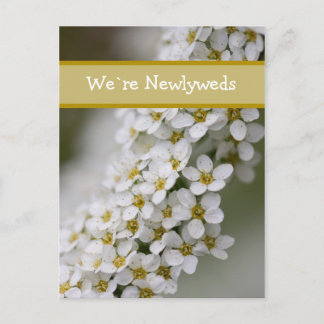 We`re Newlyweds Spiraea Postcard