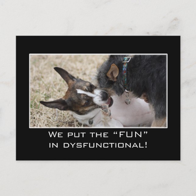 We really put the "fun" in dysfunctional postcard (Front)