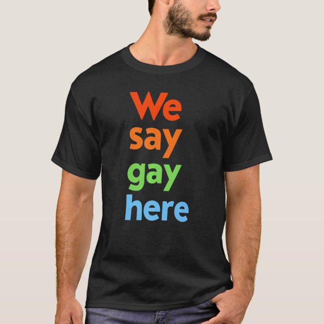 We Say Gay Here Trans Stay Proud Lgbtq Gay Rights T-Shirt (Front)