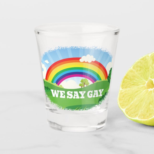 We Say Gay Rainbow Pride Shot Glass (Front)