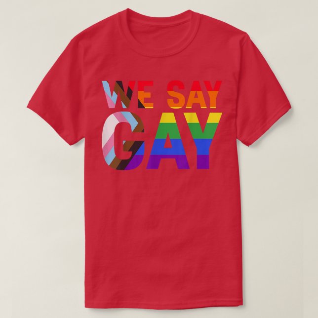 We Say Gay Rights Pride Month Proud LGBTQ Ally Equ T-Shirt (Design Front)