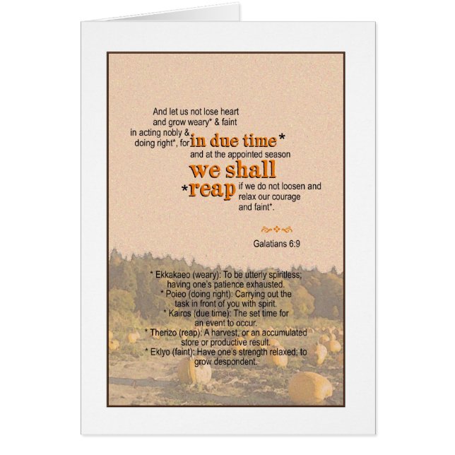 We Shall Reap - Galatian 6:9 (Front)