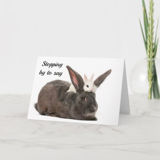 WE STOPPED BY TO SAY **JOY AND MERRIMENT** TO YOU HOLIDAY CARD (Front)