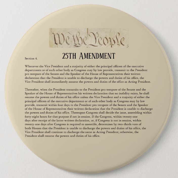 We the People 25th Amendment Constitution Resist 6 Cm ...