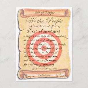 We the People Postcard