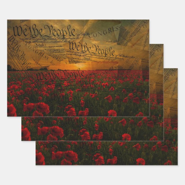 We The People Wrapping Paper Sheet (Set)
