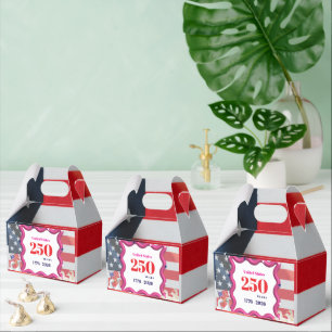 We The Silly Geese 250th Funny Celebration Favour Box
