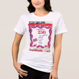 We The Silly Geese 250th Funny Celebration Tri-Blend Shirt