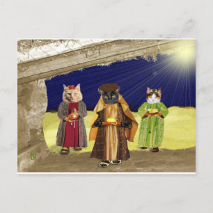 We Three Cats Postcard