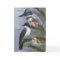 'We Three Kings' Holiday Bird Card