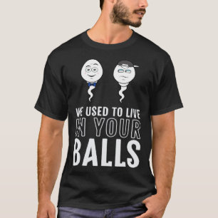 We Used To Live in Your Balls Fathers Day cute 2 B T-Shirt