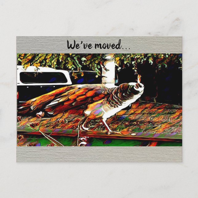 ‘We’ve Moved’ Postcard (Front)
