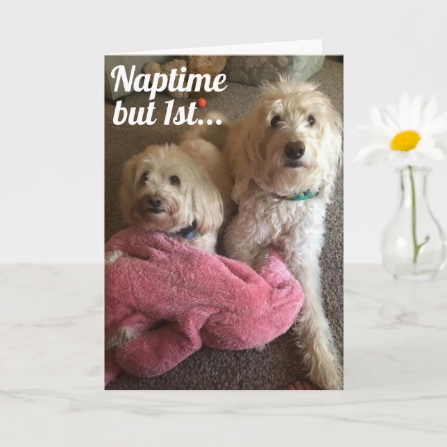 WE WANT "YOU" TO HAVE A VERY HAPPY BIRTHDAY CARD (Small Plant)