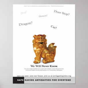 We Will Never Know poster