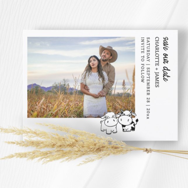 We Will Say I Moo Country Cow Themed Save The Date (We Will Say I Moo Country Cow Themed Save The Dates from Ricaso. Whimsical cow couple fun cards)