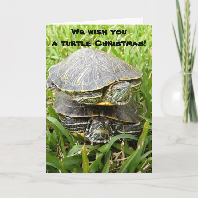 We wish you a turtle Christmas! Holiday Card (Front)