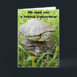 We wish you a turtle Christmas! Holiday Card<br><div class="desc">Spread the double decker turtle cheer to all of your loved ones.</div>