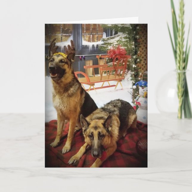 WE WISH *YOU* MERRY CHRISTMAS HOLIDAY CARD (Front)