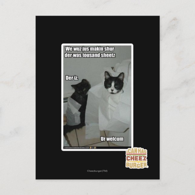 We wuz jus makin sur postcard (Front)