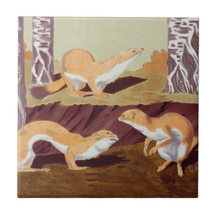 Weasel Animal Vintage Print Tile