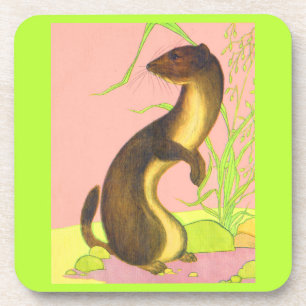 weasel coaster
