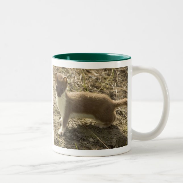 weasel Mug (Right)