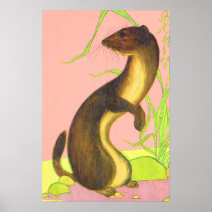 weasel print