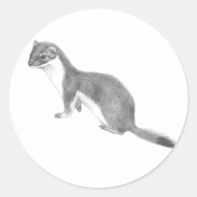 Weasel sticker (Front)