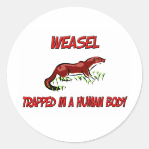 Weasel trapped in a human body classic round sticker