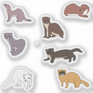 Weasels