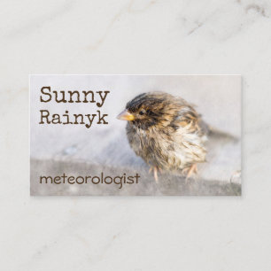 Weather Forecast Funny Customisable Business Card