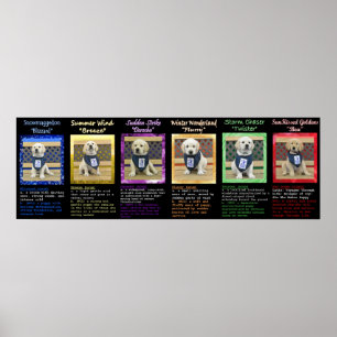 Weather Litter and Bea Name Definitions Poster