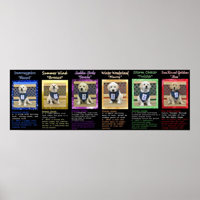 Weather Litter and Bea Name Definitions Poster (Front)