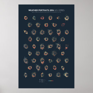 Weather Portraits 2014: U.S. Cities Poster
