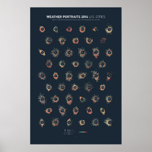 Weather Portraits 2014: U.S. Cities Poster