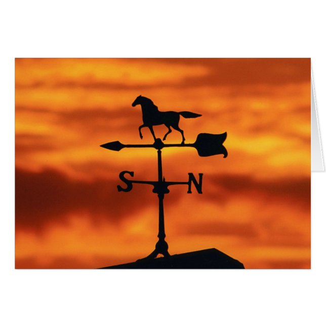 Weather Vane at Sunset (Front Horizontal)