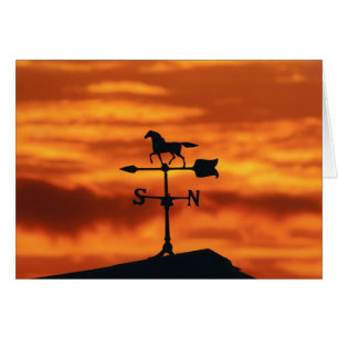 Weather Vane at Sunset