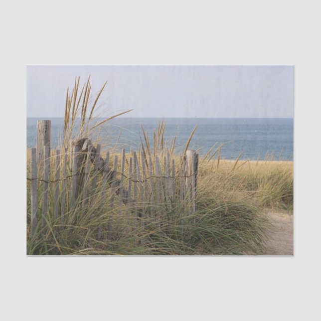 Weathered beach fence and dune grass at the beach tissue paper (Front)