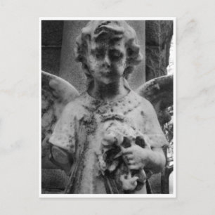 Weathered Beauty, Cabinet card