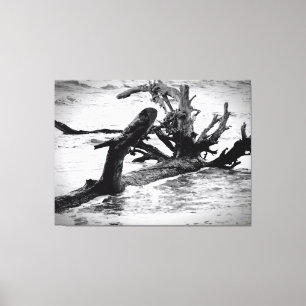 Weathered Driftwood on the Shore Canvas Print