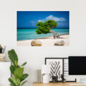 Weathered Fofoti tree Poster (Home Office)