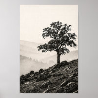 Weathered Oak Above a Misty Valley Poster