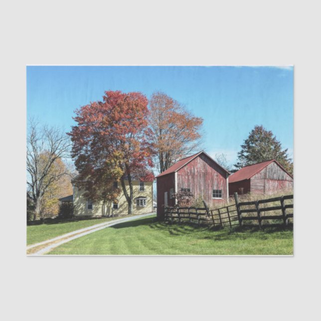 Weathered Red Barns With Tall Grasses & Fence Tissue Paper (Front)