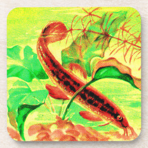weatherfish coaster