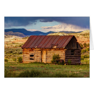 Weathering The Storm